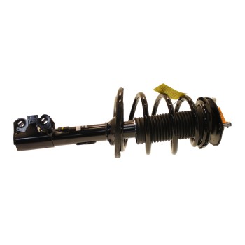 Suspension Strut and Coil Spring Assembly