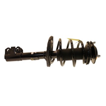 Suspension Strut and Coil Spring Assembly