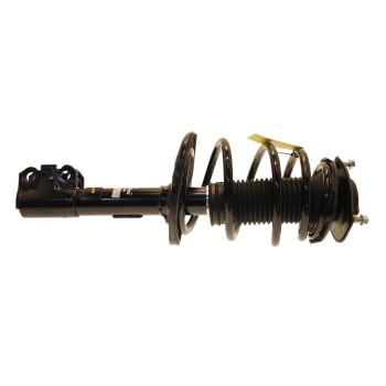 Suspension Strut and Coil Spring Assembly