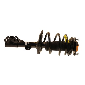 Suspension Strut and Coil Spring Assembly