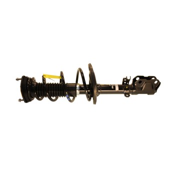 Suspension Strut and Coil Spring Assembly
