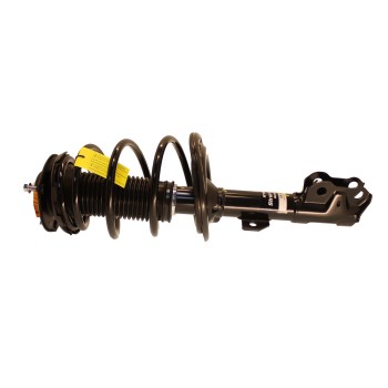 Suspension Strut and Coil Spring Assembly