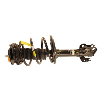 Suspension Strut and Coil Spring Assembly