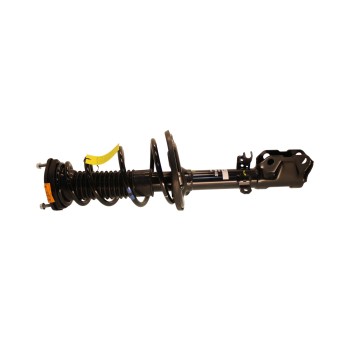 Suspension Strut and Coil Spring Assembly