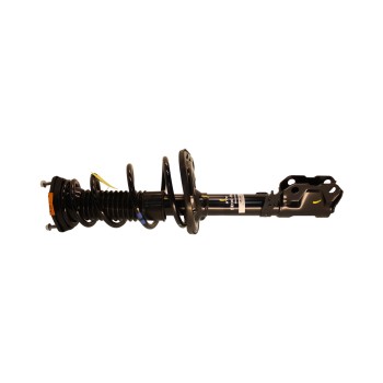 Suspension Strut and Coil Spring Assembly