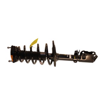 Suspension Strut and Coil Spring Assembly
