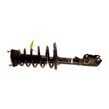 Suspension Strut and Coil Spring Assembly