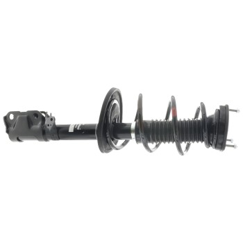 Suspension Strut and Coil Spring Assembly
