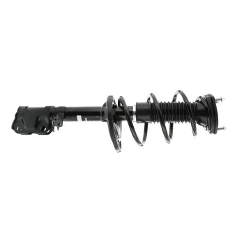 Suspension Strut and Coil Spring Assembly