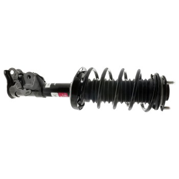 Suspension Strut and Coil Spring Assembly