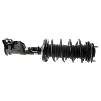 Suspension Strut and Coil Spring Assembly