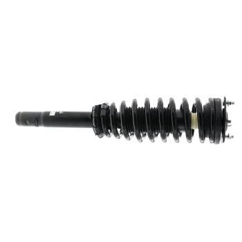Suspension Strut and Coil Spring Assembly