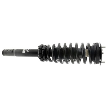 Suspension Strut and Coil Spring Assembly