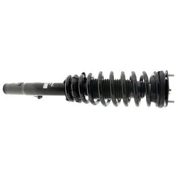 Suspension Strut and Coil Spring Assembly