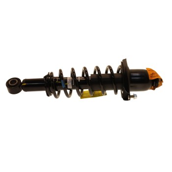 Suspension Strut and Coil Spring Assembly