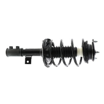 Suspension Strut and Coil Spring Assembly