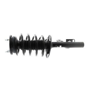 Suspension Strut and Coil Spring Assembly