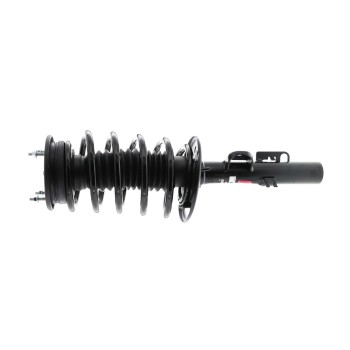 Suspension Strut and Coil Spring Assembly