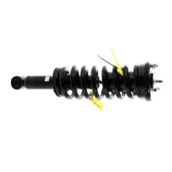 Suspension Strut and Coil Spring Assembly