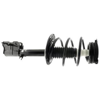 Suspension Strut and Coil Spring Assembly