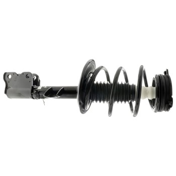 Suspension Strut and Coil Spring Assembly