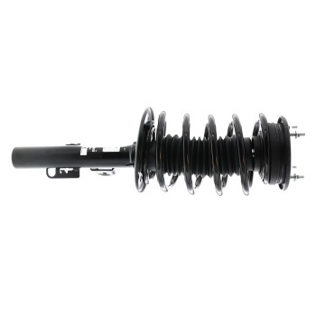 Suspension Strut and Coil Spring Assembly