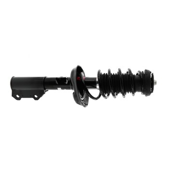 Suspension Strut and Coil Spring Assembly