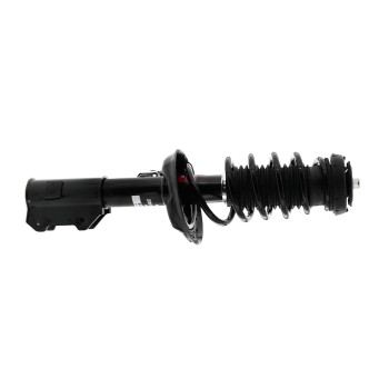 Suspension Strut and Coil Spring Assembly