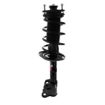 Suspension Strut and Coil Spring Assembly