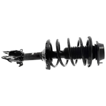 Suspension Strut and Coil Spring Assembly
