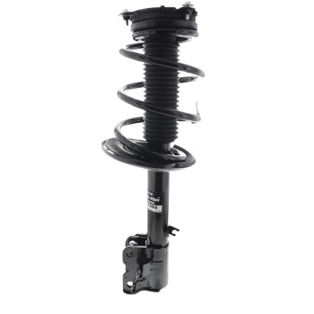 Suspension Strut and Coil Spring Assembly