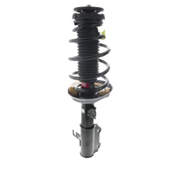 Suspension Strut and Coil Spring Assembly