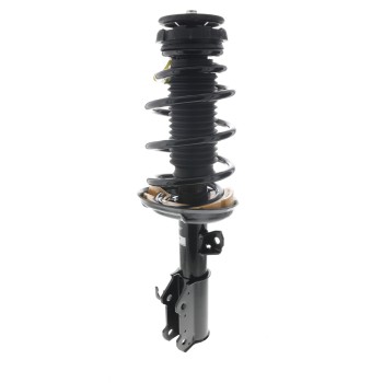 Suspension Strut and Coil Spring Assembly