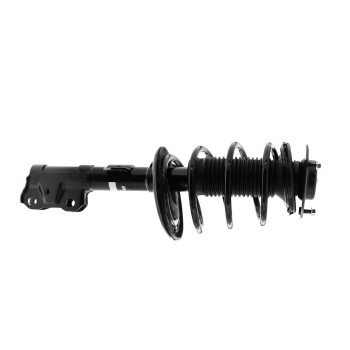 Suspension Strut and Coil Spring Assembly