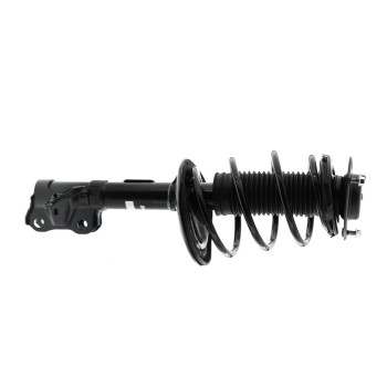 Suspension Strut and Coil Spring Assembly