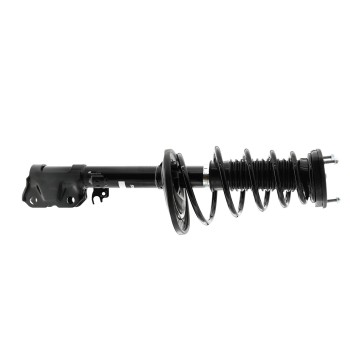 Suspension Strut and Coil Spring Assembly