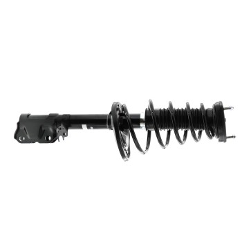 Suspension Strut and Coil Spring Assembly