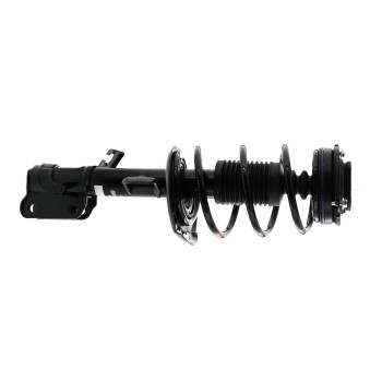 Suspension Strut and Coil Spring Assembly