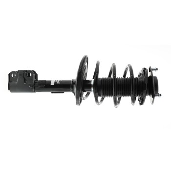 Suspension Strut and Coil Spring Assembly