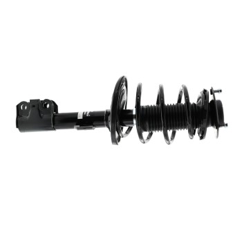 Suspension Strut and Coil Spring Assembly