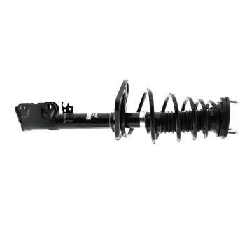 Suspension Strut and Coil Spring Assembly