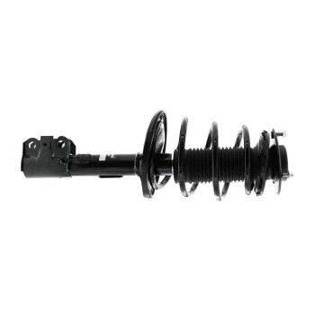 Suspension Strut and Coil Spring Assembly
