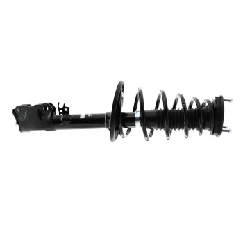 Suspension Strut and Coil Spring Assembly