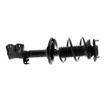 Suspension Strut and Coil Spring Assembly