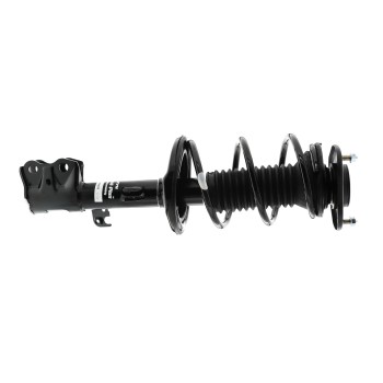 Suspension Strut and Coil Spring Assembly