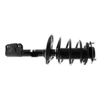 Suspension Strut and Coil Spring Assembly