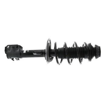 Suspension Strut and Coil Spring Assembly