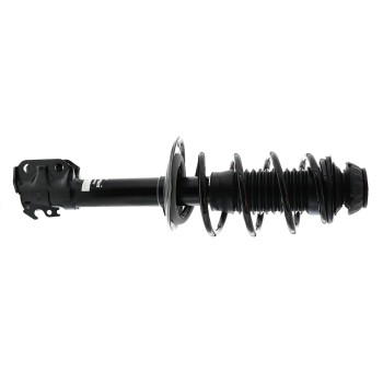 Suspension Strut and Coil Spring Assembly