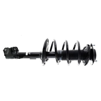 Suspension Strut and Coil Spring Assembly