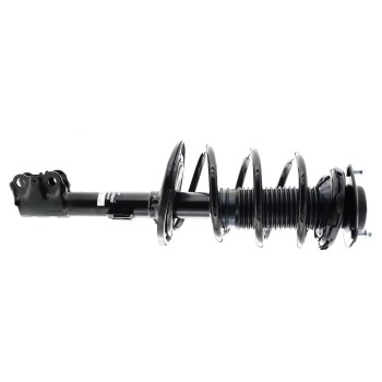 Suspension Strut and Coil Spring Assembly